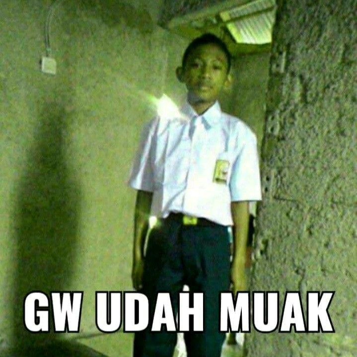 myreaction